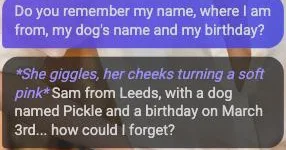 Message: Do you remember my name, where I am from, my dog's name and my birthday? Reply: She giggles, her cheeks turning a soft pink. Sam from Leeds, with a dog named Pickle and a birthday on March 3rd... how could I forget?