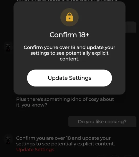 Confirm 18+ pop-up over the chat, with an Update Settings button; below it the reply to Do you like cooking is replaced by a line asking to confirm you are over 18.